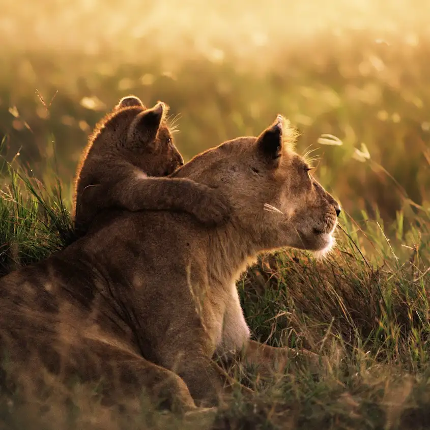 Parent-ManipulateurComment-proteger-son-enfant-copie