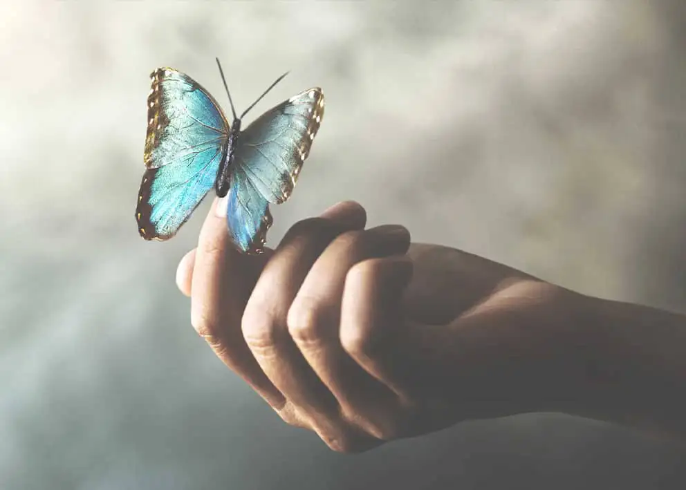 Qu’est-ce que l’emprise ?