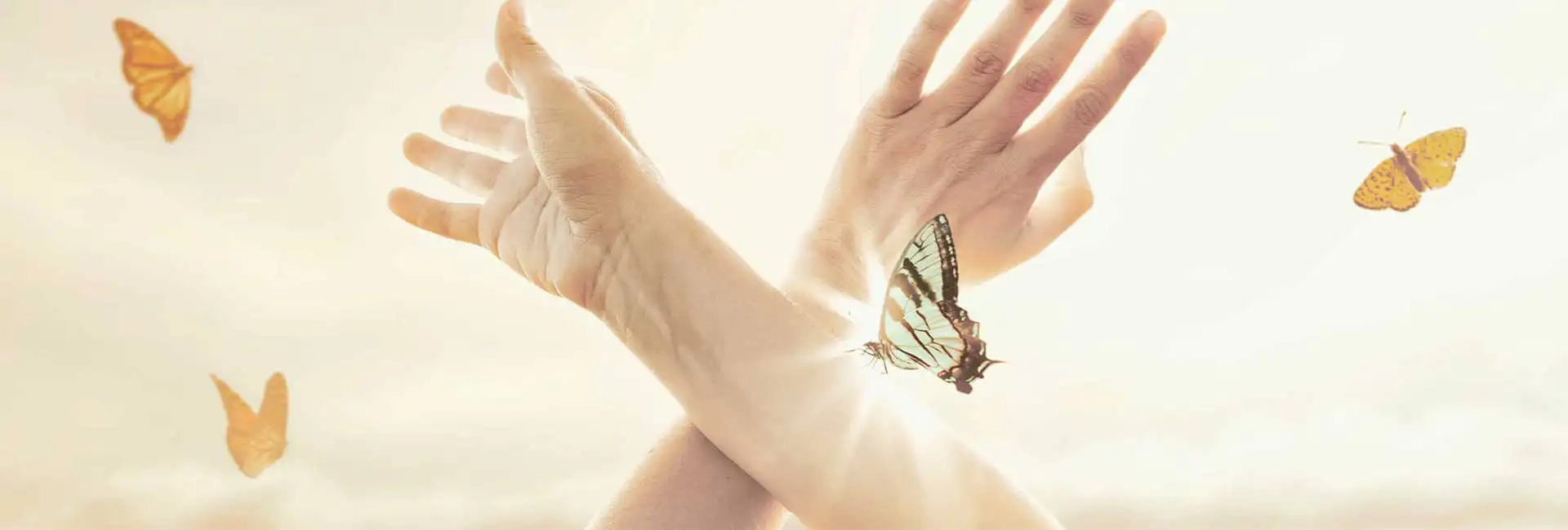 Accompagnements pour sortir de l'emprise